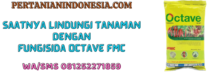 jual,murah,terjangkau,toko pertanian terdekat,pertanian indonesia